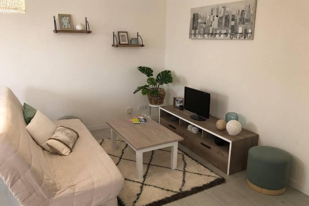 Appartement Cosy Avec Jardin A Blagnac. Exterior photo